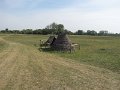 Kunyho a pusztaban